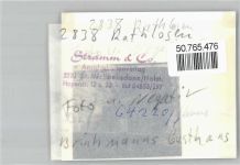 27232 W2838 Rathlosen FOTO KEINE AK Foto mit Negativ, Brinkmanns Gasthaus