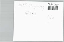 31595 W3074 Steyerberg FOTO KEINE AK Foto