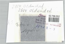 27729 W2864 Oldendorf , Kr Osterholz FOTO KEINE AK Foto mit Negativ
