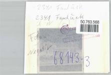 24392 W2341 Rabenkirchen-Faulück FOTO KEINE AK Foto mit Negativ