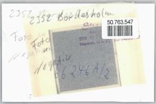 24582 W2352 Bordesholm FOTO KEINE AK Foto mit Negativ
