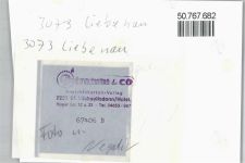 31618 W3073 Liebenau , Kr Nienburg, Weser FOTO KEINE AK Foto mit Negativ