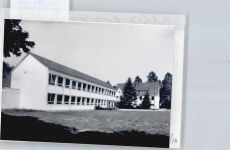 31275 W3161 Arpke FOTO KEINE AK Foto mit Negativ