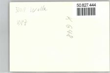 47495 W4134 Wallach - Foto
