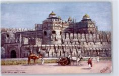 Delhi - Tuck´s AK, Oilette