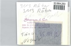 29556 W3113 Räber - Foto mit Negativ