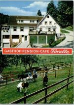 76596 W7564 Forbach , Baden - Gasthof Forelle
