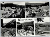 98527 O6301 Vesser - Damenkapelle , Kuhtrieb