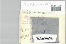31606 W3079 Warmsen - Foto mit Negativ, Schwimmbad