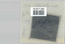31547 W3076 Münchehagen - Negativ