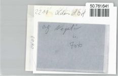 25588 W2213 Oldendorf , Holst FOTO KEINE AK Foto mit Negativ