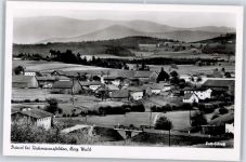 94362 W8441 Prünst , Kr Bogen, Niederbay - Teilansicht