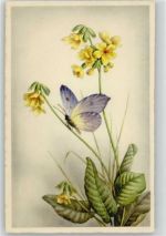 und Blumen Schmetterling 1920