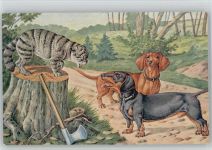 Katze Verlag Köhn Dackelserie 304 1-6 Dackel Künstlerkarte