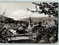 36364 W6427 Bad Salzschlirf - Teilansicht Baumblüte