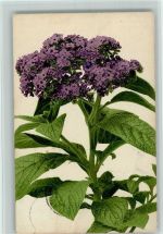 Nr. 591 - Blumen Rommel