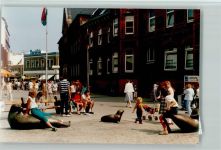 26548 W2982 Norderney FOTO KEINE AK Seehundgruppe Poststraße