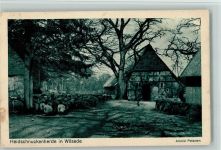 29646 W3045 Wilsede , Kr Soltau - Heidschnuckenherde Naturschutzpark Lüneburger Heide Foto Arnold Petersen