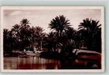 Gabès - Oasis de Teboulbou