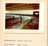 26757 W2972 Borkum FOTO KEINE AK Wellenbad Innenaufnahme Foto montiert auf Karton