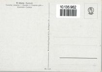 sign Schulz - Kuckuck AK Vogel 1940 Künstlerkarte