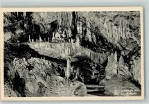 Han-sur-Lesse Grottes de Han La Mosquée Tropfsteinhöhle