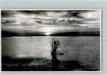 FOTO KEINE AK Sonnenuntergang Wattenmeer