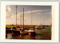 25859 W2251 Hooge, Hallig FOTO KEINE AK