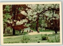 Lemberg Lwow - Lwiw Stryi Park