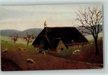 Serie IX Nr. 41, Verlag Moos - Schwarzwaldhaus Harbers 1917