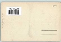 Tier- und Fruchstück Verlag K.V.W. Nr. 1943 Affe Papagei Weintrauben Frucht, Gemüse Künstlerkarte
