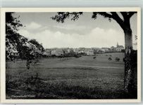 54472 W5551 Monzelfeld