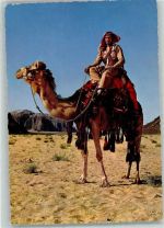 Kamelreiter des Wüstenschutzes AK Arab. Volkstyp