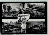 68542 W6805 Heddesheim , Baden Gebrauchsspuren Baumschule Fleckenstein