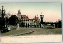 Budapest Lithographie Burg
