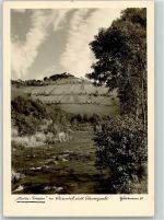 79669 W7863 Zell im Wiesental Foto AK Fotograf Gutermann Maria-Frieden im Wiesental