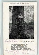 W6990 Bad Mergentheim Schild am Baum "Herren" - Gedicht zur strammen Kur, 1936 AK Kur