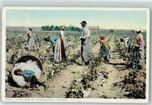 Landwirtschaft Baumwollernte Schwarzafrikaner 1921