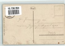 37441 W3423 Bad Sachsa 1924 - Hotel Pfaffenberg