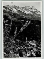 14020 Soglio - Bergkirsche blüht