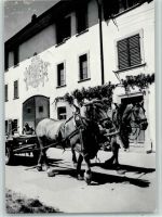 Neunkirch Bauernhof , Tiergespann - Schweizer Pfadfinderinnen Pfadfinder 1965