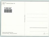 Neunkirch Bauernhof , Tiergespann - Schweizer Pfadfinderinnen Pfadfinder 1965