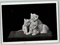 Kleine Löwen 1930 AK Raubkatze