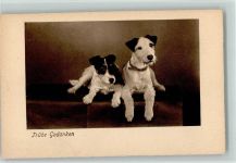 Trübe Gedanken ca 1918 AK Terrier
