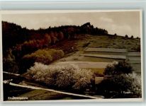 77830 W7582 Bühlertal - am Immenstein