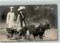 Kronprinzenpaar mit Prinz Wilhelm auf einer Ziegenkutsche Fotomontage Adel Kronprinz Wilhelm