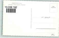 Riesiger Wal Jonas AK Wal