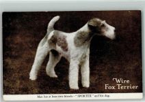 Werbung für Sportex Postkarten Terrier