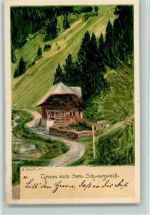 Schwarzwaldhaus sign Daur 1897 Künstler Daur, H.