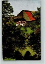 Haus color AK Schwarzwaldhaus